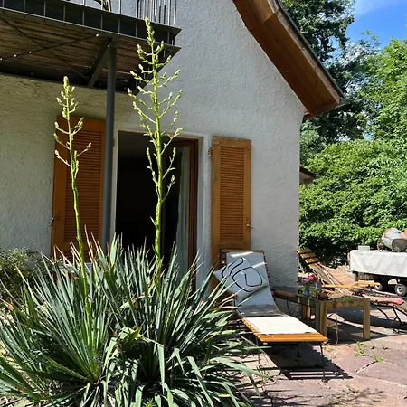 Allgaierart-house Apartmán Bad Waldsee